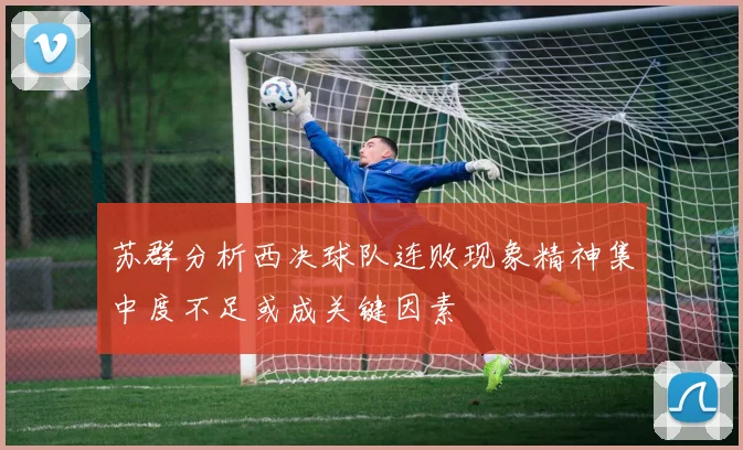 苏群分析西决球队连败现象精神集中度不足或成关键因素
