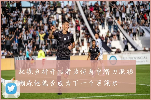 拓媒分析开拓者为何看中潜力股杨瀚森他能否成为下一个吕佩尔